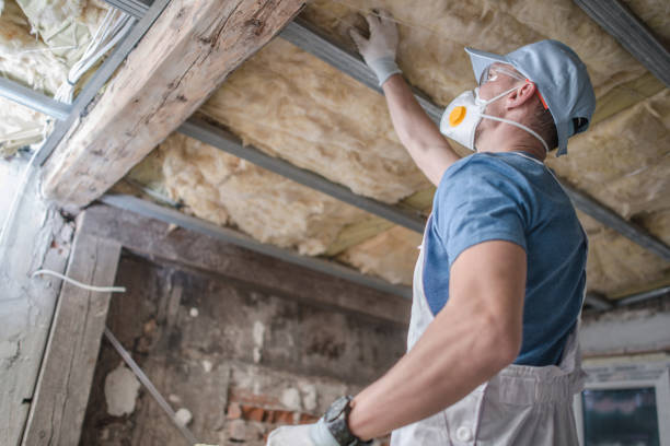 Best Insulation Materials and Products in Tazewell, TN